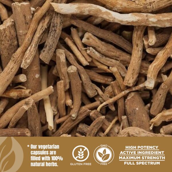 Frasco cápsulas Ashwagandha Herbsforever con extracto concentrado