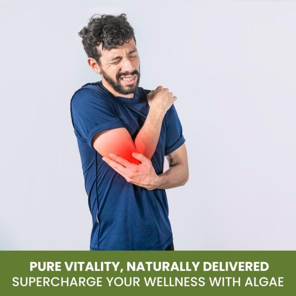 Green Organic Supplements cápsulas algas y chlorella