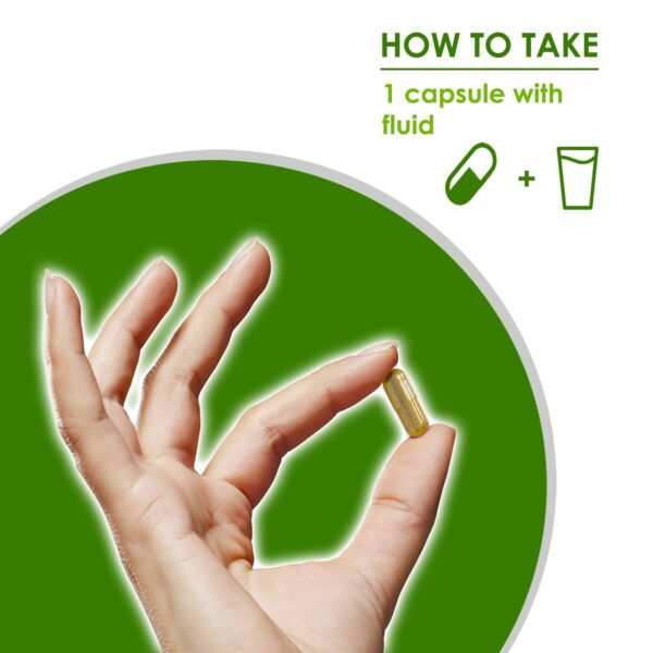 Frasco y cápsulas Noni VH Nutrition para salud y bienestar