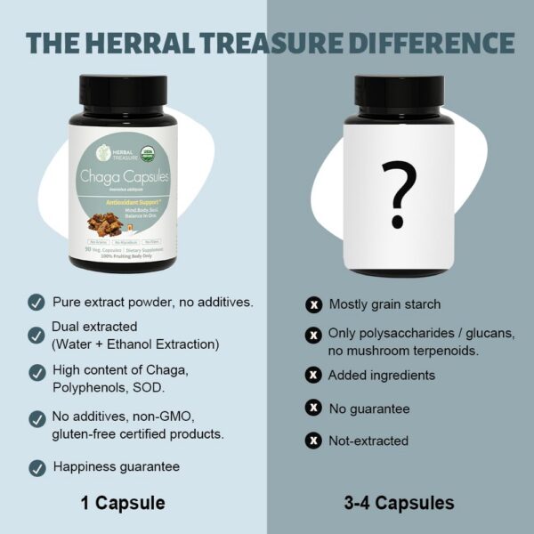 Frasco y cápsulas suplemento hongos chaga WL Herbal Treasure