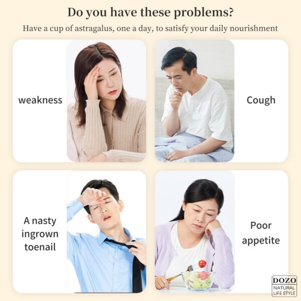 Version 1.0.0 Frasco cuadrado sellado té premium raíz de astrágalo DOZO