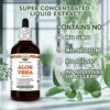 Frasco extracto líquido de Aloe Vera sin aditivos ni azúcar