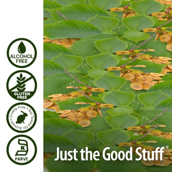 Frasco extracto olmo resbaladizo para salud general