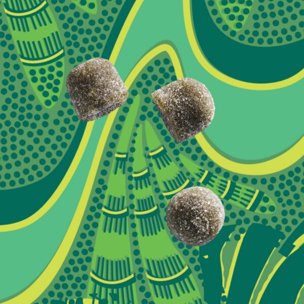 Version 1.0.0 Frasco y gomitas de Kuli Kuli suplemento energético natural