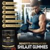 Frasco cerrado de gomitas Shilajit Grevol para bienestar general