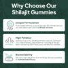 Frasco y gomitas de shilajit natural Organics Ocean