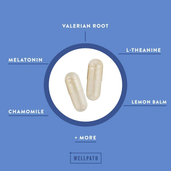 Version 1.0.0 Frasco de gomitas WellPath Pure ACV para apoyo del sueño y bienestar