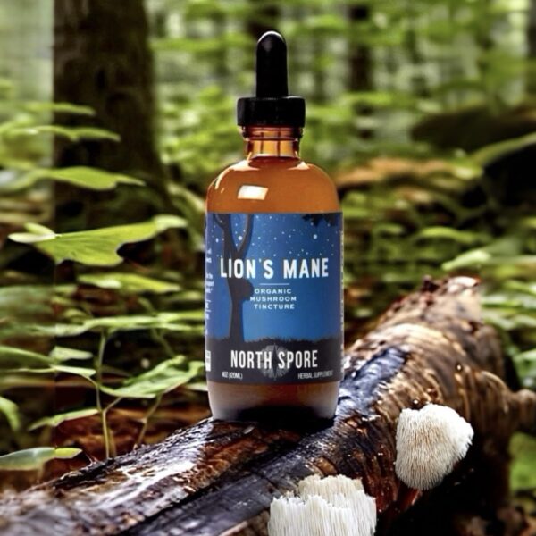Frasco y gotero tintura melena de león North Spore