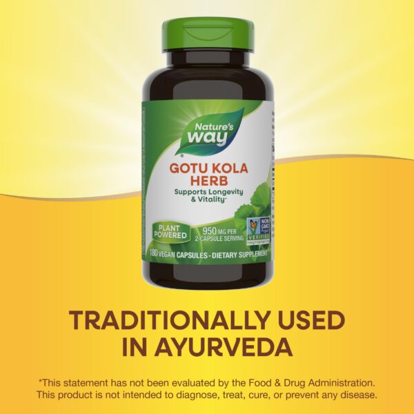 Version 1.0.0 Frasco de gotu kola con 180 cápsulas veganas