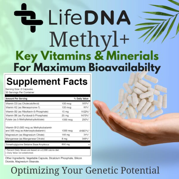Frasco LIFEDNA Methyl+ suplementos multivitamínicos metilados