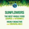 Frasco Natural Factors vitamina E de girasol 90 cápsulas