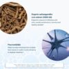 Frasco nutracéutico con Ashwagandha y GABA