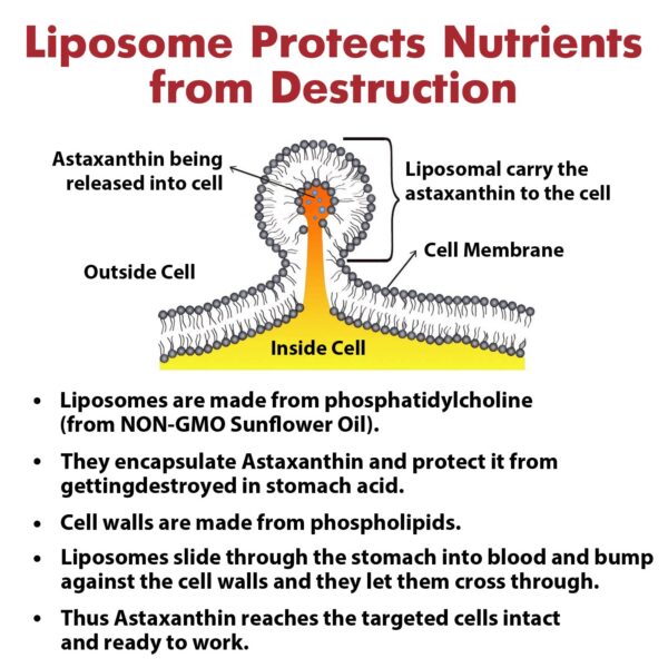 Frasco con cápsulas y etiqueta
