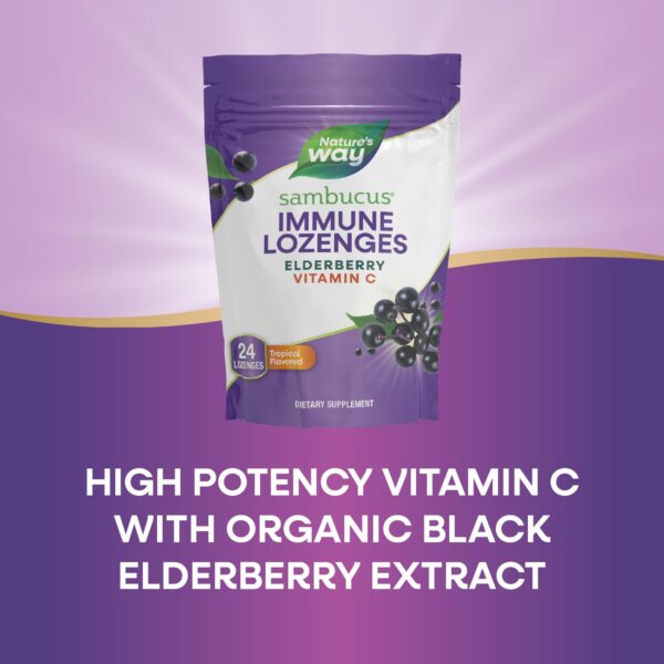 Frasco y pastillas Nature's Way Sambucus enfoque