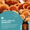 Frasco polvo Reishi orgánico HealthForce SuperFoods