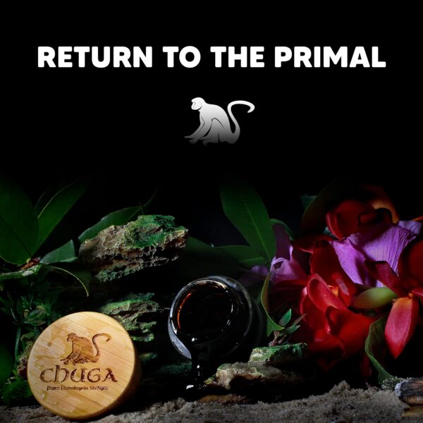 Frasco premium de resina de shilajit Himalaya Chuga 20 gramos