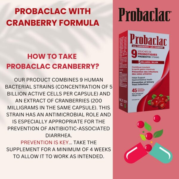 Frasco Probaclac probióticos para flora intestinal saludable y bienestar