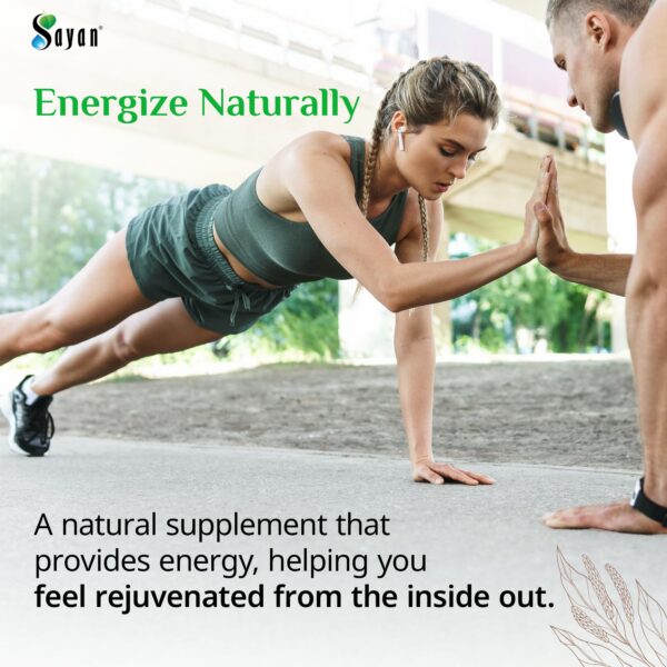 Sayan tabletas shilajit paquete 60 para uso diario de energía