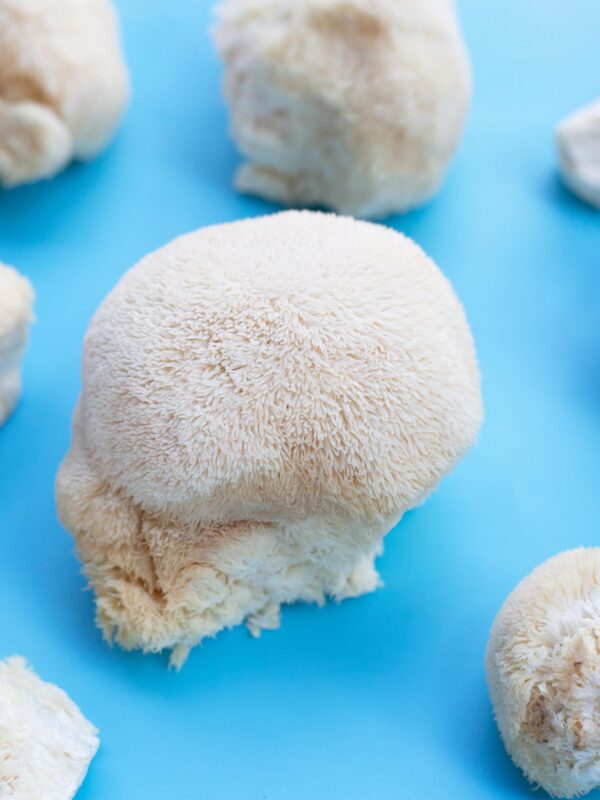 Paquete cerrado de suplemento de Melena de León liofilizado