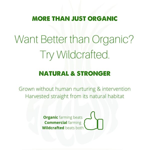 Tés orgánicos Speedyvite detox desempaquetado saludable