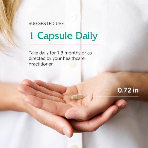 Frasco suplemento baya de sauzgatillo vitanica 60 cápsulas