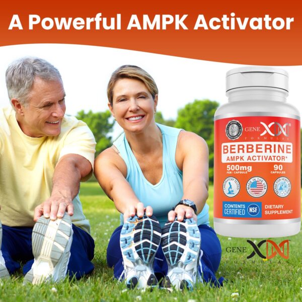 Frasco suplemento berberina Genex Formulas
