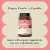 Frasco suplemento cápsulas orgánicas de arándano 100 unidades