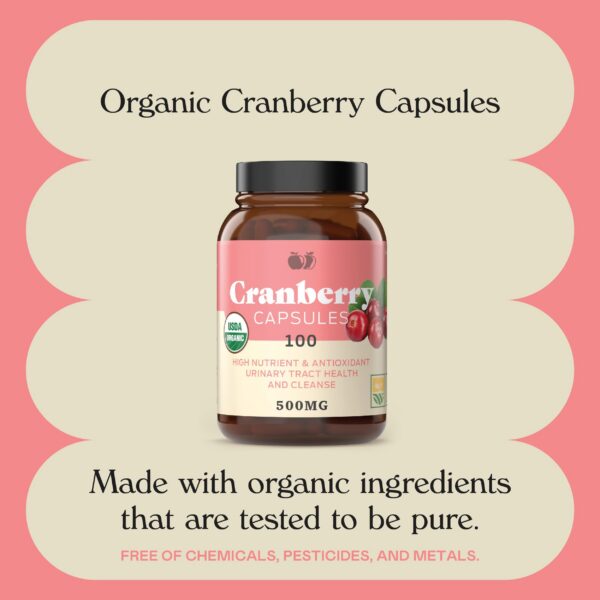 Frasco suplemento cápsulas orgánicas de arándano 100 unidades