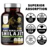 Version 1.0.0 Frasco suplemento mineral traza shilajit del Himalaya y ácido fúlvico puro