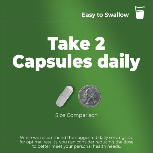 Frasco suplemento moringa natural sin gluten y sin OGM