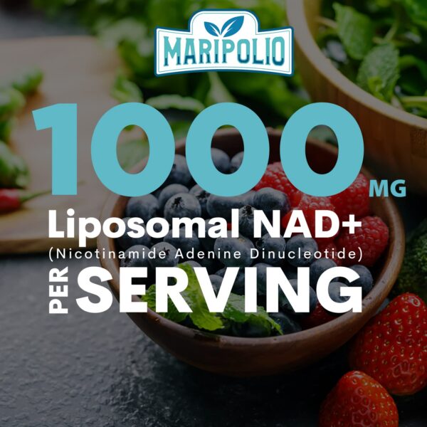 NAD+ liposomal Maripolio máxima absorción para salud celular