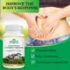 Micro micelio hongos medicinales Hexosa Activa para salud natural