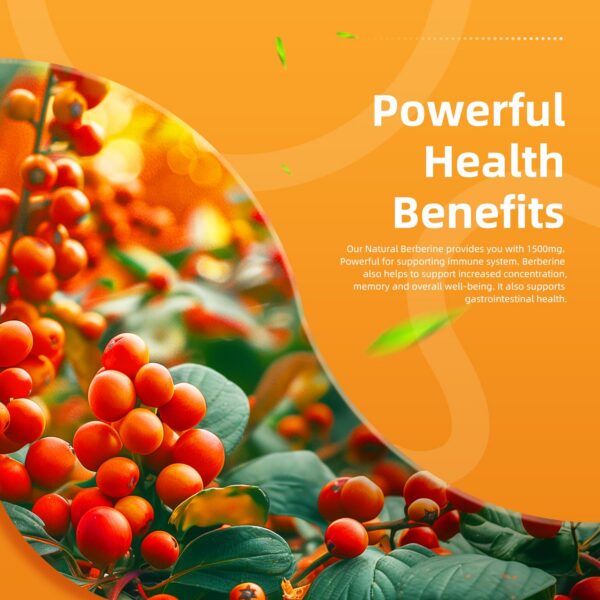 Frasco con tapa Berberina ElevateLife 120 cápsulas