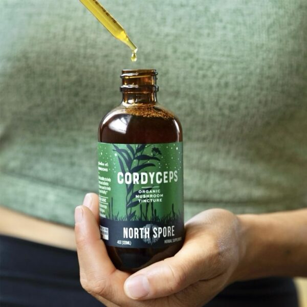 Frasco de tintura Cordyceps North Spore orgánica USA