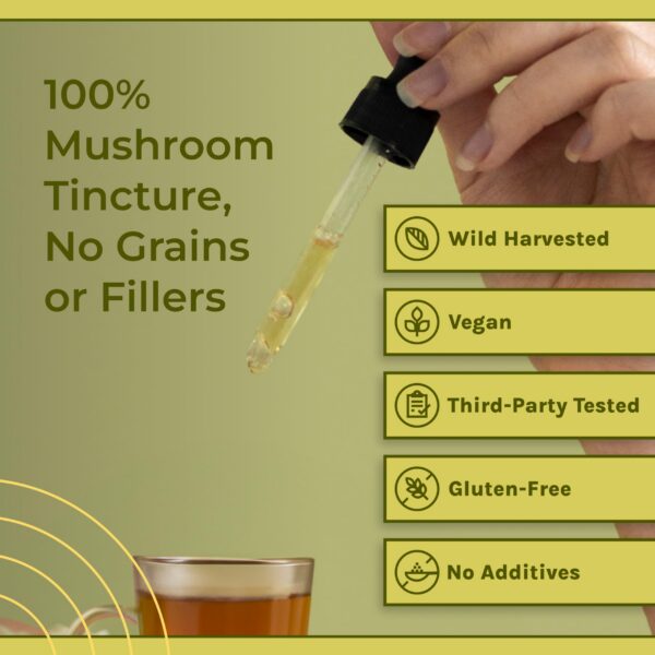 Frasco de tintura de hongo Chaga Naturealm con sello vegano y sin OGM