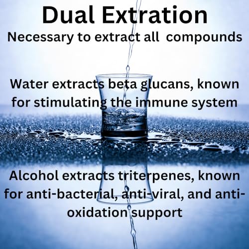 Frasco tintura Melena de León Mag Mushrooms vista lateral