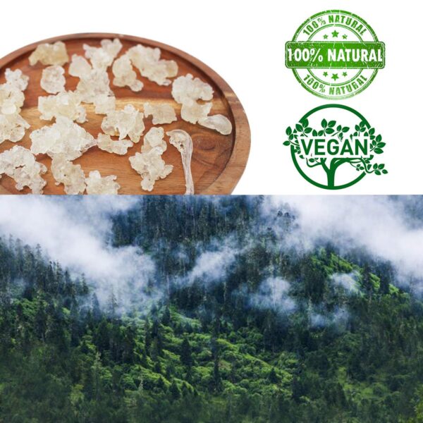 Frascos DOL con goma de tragacanto natural para cocina