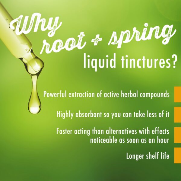 Frascos paquete raíz isatis ban lan gen fórmula tcm natural