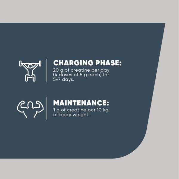Frente de la botella y etiqueta