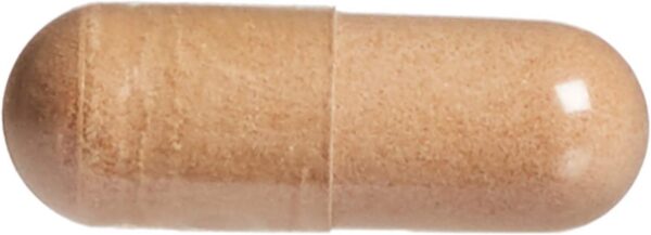 Frente de caja HerbalFactors Natural Factors castaño de indias