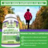 Fresh Healthcare chlorella pure vegan powder supplement 1200mg