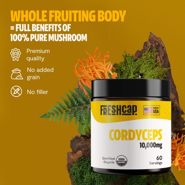 FreshCap polvo de hongos Cordyceps apoyo inmunidad y energía