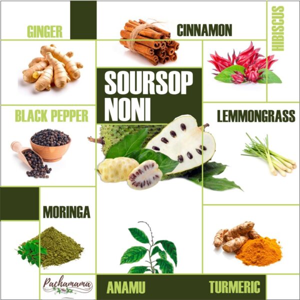 Presentación vegana sin OGM