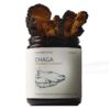 Chaga polvo listo para mezclar