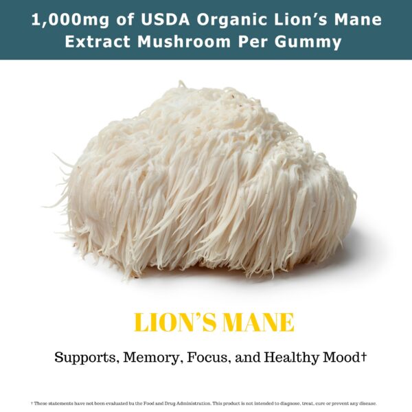 Fundamental Fungi gomitas melena de león para enfoque diario