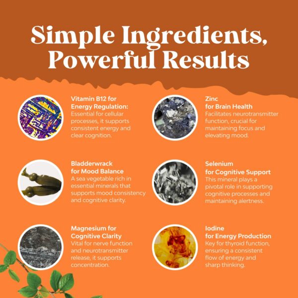 Logo de la marca y diseño