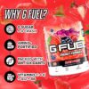 Version 1.0.0 G Fuel fórmula elite en sabor punch de fruta