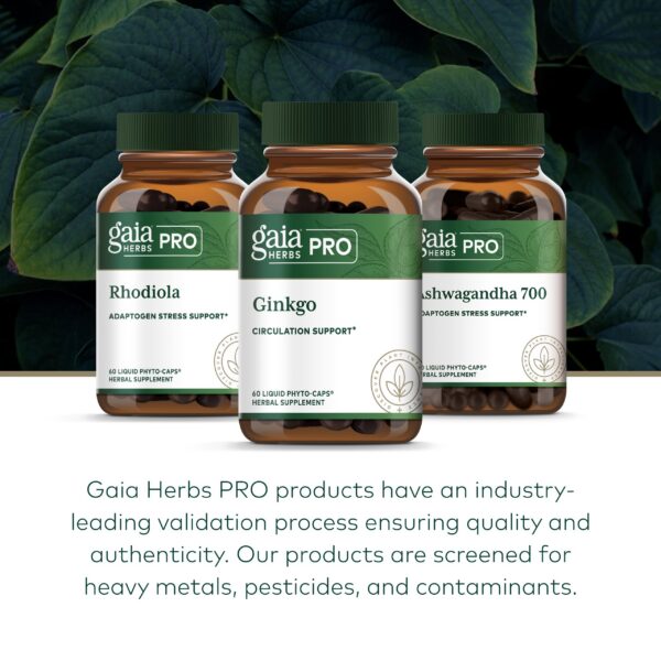 Version 1.0.0 Envase Gaia Herbs PRO Ginkgo visto de frente