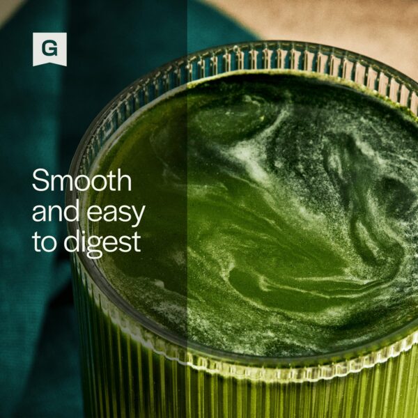 Gainful polvos greens con clorella y adaptógenos 10 sobres