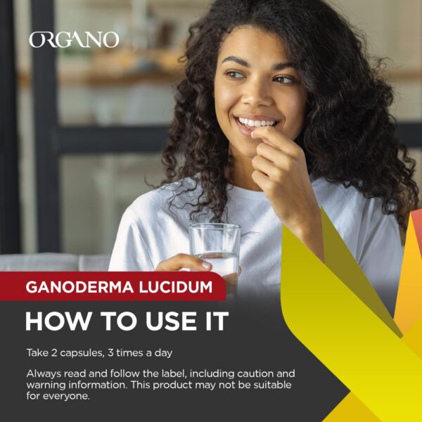 Ganoderma Lucidum orgánico de alta calidad en cápsulas Organo